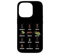 Types de Fourmis, Tableau des espèces de Fourmis, Science des Insectes, entomologie Coque pour iPhone 14 Pro