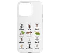 Types de Fourmis, Tableau des espèces de Fourmis, Science des Insectes, entomologie Coque pour iPhone 15 Pro Max