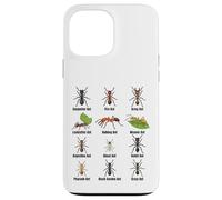 Types de Fourmis, Tableau des espèces de Fourmis, Science des Insectes, entomologie Coque pour iPhone 13 Pro Max