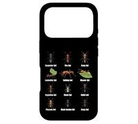Types de Fourmis, Tableau des espèces de Fourmis, Science des Insectes, entomologie Coque pour iPhone 17 Pro