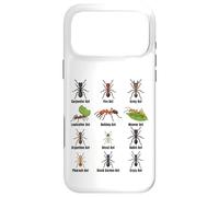 Types de Fourmis, Tableau des espèces de Fourmis, Science des Insectes, entomologie Coque pour iPhone 17 Pro Max