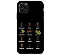 Types de Fourmis, Tableau des espèces de Fourmis, Science des Insectes, entomologie Coque pour iPhone 11 Pro Max