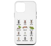 Types de Fourmis, Tableau des espèces de Fourmis, Science des Insectes, entomologie Coque pour iPhone 12 Mini