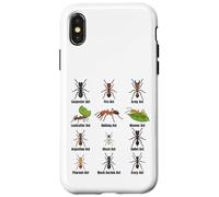 Types de Fourmis, Tableau des espèces de Fourmis, Science des Insectes, entomologie Coque pour iPhone X/XS