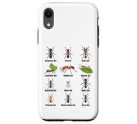 Types de Fourmis, Tableau des espèces de Fourmis, Science des Insectes, entomologie Coque pour iPhone XR