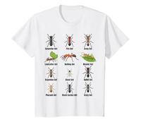 Types de Fourmis, Tableau des espèces de Fourmis, Science des Insectes, entomologie T-Shirt, Enfant, Blanc, 8 Ans