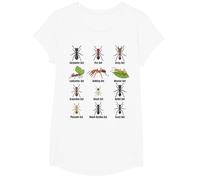 Types de Fourmis, Tableau des espèces de Fourmis, Science des Insectes, entomologie T-Shirt, Fille, Blanc, XS