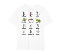 Types de Fourmis, Tableau des espèces de Fourmis, Science des Insectes, entomologie T-Shirt, Homme Grandes Tailles, Blanc, 6X Tall