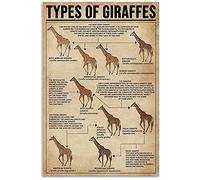 Types de girafes en métal - Panneaux en étain - Connaissance - Affiches rétro - Guide scientifique populaire - Palques pour enfants - Décoration murale pour la maison, la salle de classe, l'éducation