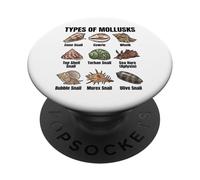 Types de mollusques, Tableau des espèces de mollusques, biologie Marine PopSockets PopGrip Adhésif