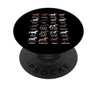Types de Races de Chevaux - Science équine et biologie Animale PopSockets PopGrip Adhésif