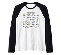 Types de Requins Alphabet A-Z ABC Identification des Requins Manche Raglan