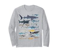 Types de requins Identification des espèces de requins Amoureux de l'océan Manche Longue