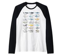 Types de requins Identification des espèces de requins Amoureux de l'océan Manche Raglan