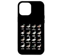 Types de sauvagine - Tableau des espèces de Canards, oies et cygnes Coque pour iPhone 12 Pro Max