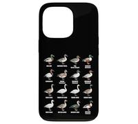 Types de sauvagine - Tableau des espèces de Canards, oies et cygnes Coque pour iPhone 13 Pro