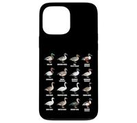 Types de sauvagine - Tableau des espèces de Canards, oies et cygnes Coque pour iPhone 13 Pro Max