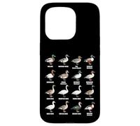 Types de sauvagine - Tableau des espèces de Canards, oies et cygnes Coque pour iPhone 15 Pro