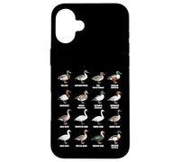 Types de sauvagine - Tableau des espèces de Canards, oies et cygnes Coque pour iPhone 16 Plus