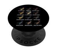 Types de Scorpions Scorpions scientifiques du désert et de la forêt PopSockets PopGrip Adhésif