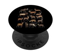 Types d'espèces de Cerfs Sciences de la Faune Garçons Filles Enfants PopSockets PopGrip Adhésif