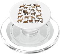 Types d'espèces de Cerfs Sciences de la Faune Garçons Filles Enfants PopSockets PopGrip pour MagSafe