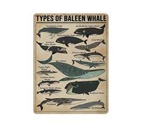 Types of Baleen Whale Knowledge Poster Plaque en métal Art Plaque murale Decor Infographic Poster Fer Peinture Aluminium Sign for School Education Farm Men Cave Bar Yoga Outdoor Decor 12x16in