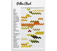 Types of Bees Poster Pollinator Identification Chart Pollen Nectar Plants Guide Beekeeper Wall-Art Canvas Print