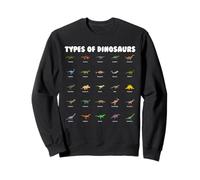 Types of Dinosaurs Cute Cartoon Dino Design Sweatshirt