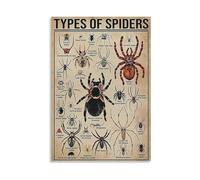 Types of Spiders Educational Poster, Arachnid Species Identification Chart with Common Species like Black Widow and Wolf Spider, Classroom Science Wall Art(Framed,16x24inch(40x60cm))