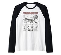 Tyrannosaurus Rex Fossil Guide Musée Anatomie Art Manche Raglan