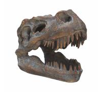 Tyrannosaurus Rex Skull Freestanding 16cm