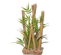 TYROL BAMBOU LARGE PLANTES POUR AQUARIUM