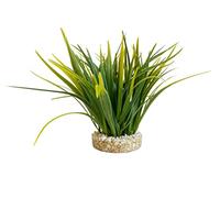 Tyrol - Plante d'Aquarium Artificielle - Décoration pour Aquarium - En plastique sur Socle - Plante d'Intérieur Buisson Verte - Ancrage Facile - Fabriquée en France