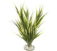 Tyrol - Plante d'Aquarium Artificielle Massif Acorus XXL 50CM - Décoration pour Aquarium - Plante d'intérieur en Plastique sur Socle - Ancrage Facile au Fond de l'Aquarium - Fabriquée en France