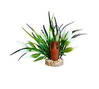 Tyrol, Plante d'Aquarium et Décoration Amphore, Plante d'Intérieur Pour Poisson, Ancrage Facile au fond de l'Aquarium, Entretien Facile, Fabriquée en France