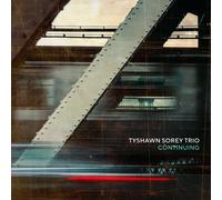 Tyshawn Sorey Trio - Continuing [Vinyl Lp]