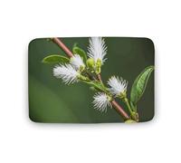 TYULN Tapis de salle de bain absorbant antidérapant à séchage rapide pour chambre à coucher, cuisine, évier, bord de baignoire - 50 x 80 cm - Blanc et vert sauvage