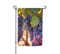 TYUMH Drapeau décoratif de jardin imprimé raisins du désert 30,5 x 45,7 cm pour utilisation dans les cours, jardins, pots de fleurs et balcons