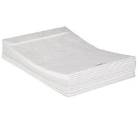 Tyvek 948656 Boîte de 100 Pochettes