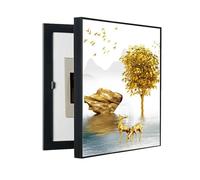 TYYCKJ Coffret de Protection pour fusibles - Facile à Ouvrir et à Fermer - Coffret de Compteur électrique dissimulé - Peinture décorative pour Salon