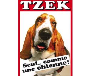 Tzek : Seul ... comme une chienne !