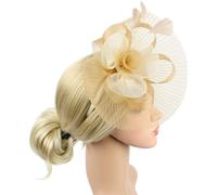 Tzf-Chapeau Bibis Femme Elégantes Fascinator Chapeau Nuptiale En Maille Plumes Épingles À Cheveux Accessoires Coiffure Mariage Voilette Serre-Tête Pour Cocktail Mariage Derby Photographe Fête