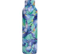 Tzf-Solid Blue Irises Bouteille Thermos En Acier Inoxydable 630 Ml