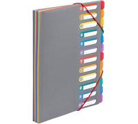 Tzf-- Trieur Document A4 Avec 12 Compartiments - Organisateur De Bureau Extensible - Porte Document A4 Avec Index - Fermeture Par Élastique - Rainbow Touch Gris