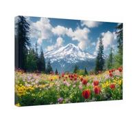 TZKRWRH Posters Modernes sur Toile Paysages de fleurs sauvages Motif Abstraites Boho - Peinture Pour Chambre à Coucher Tableau Decoration Murale Salon(Rouge 20)-20x30cm Encadrée