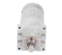 TZOXTLH moteur à engrenages arbre excentrique CW CCW autobloquant en laiton bobine réduction de vitesse motoréducteur DC24V (300 tr/min)