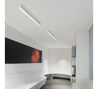 TZSMUM LED Long Rectangle Plafonnier Aluminium Acrylique Moderne Intérieur Lampe de Plafond Créativité Décoration Plafonniers Linéaire Design pour Couloir Bureau Cuisine (80cm,Blanc Lumière Neutre)