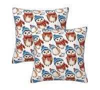 TZTTZT Lot de 2 housses de coussin décoratives douces à imprimé chouette pour canapé, lit, salon, ferme - 30 x 30 cm