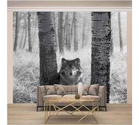 Tzxztt Animal Gris En Trois Dimensions Dans Une Forêt : Loup Papier Peint 3E Moderne Soie Texturée Haut De Gamme IdéAl Pour Le Salon Et La Chambre à Coucher-400cm×280cm